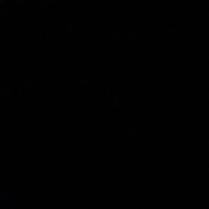 Meet your Posher, Wylie